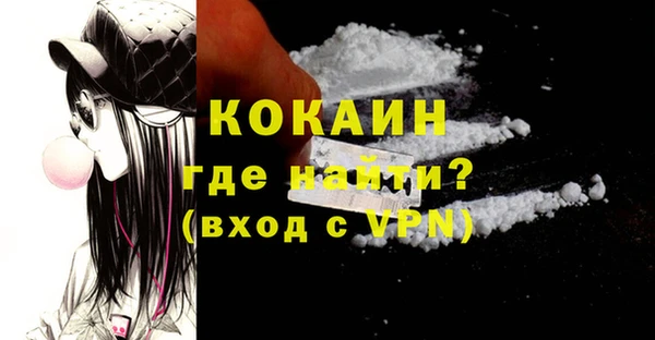 стаф Вяземский