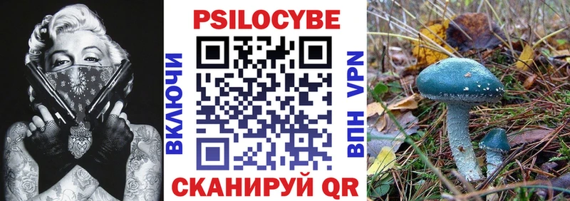 дарнет шоп  Ивантеевка  Псилоцибиновые грибы MAGIC MUSHROOMS 